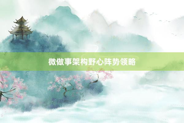 微做事架构野心阵势领略
