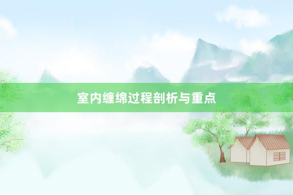 室内缠绵过程剖析与重点