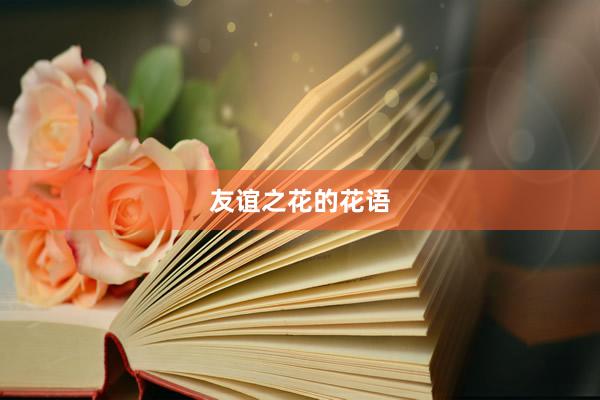 友谊之花的花语