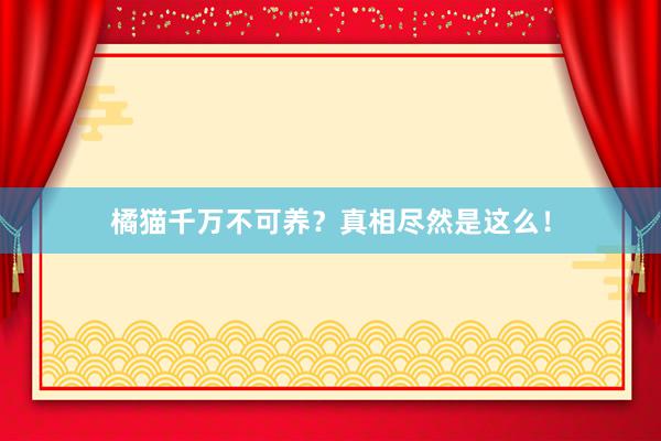 橘猫千万不可养?真相尽然是这么!